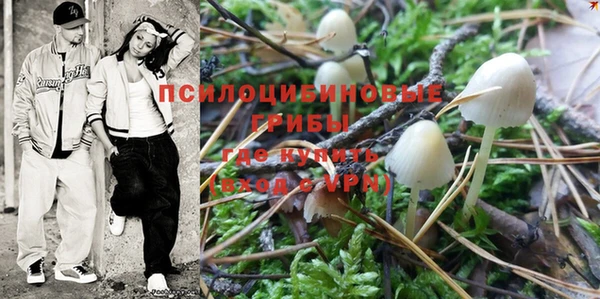прущие крисы Алзамай